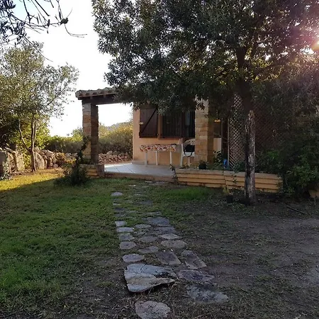 Daniela, Loc. Torre Delle Stelle Willa Sìnnai